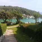 Novak Rab Town